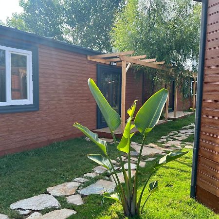 Seaside Bungalow Town Hotel Antalya Bagian luar foto